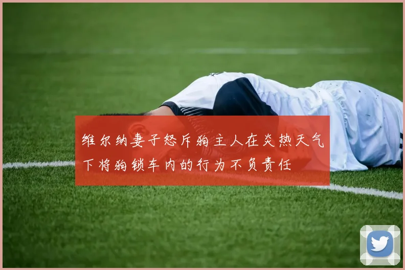 维尔纳妻子怒斥狗主人在炎热天气下将狗锁车内的行为不负责任